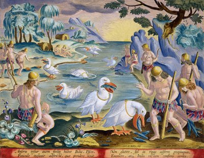 Halbnackte Wilde Indiens, die Pelikane zum Fischfang benutzen, Tafel 91 aus 